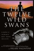 The Twelve Wild Swans: A Journey to the Realm of Magic, Healing, and Action
