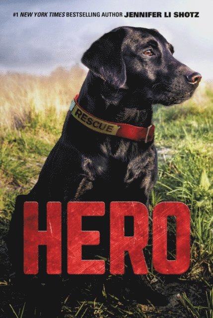 Jennifer Li Shotz - Hero, E-bok