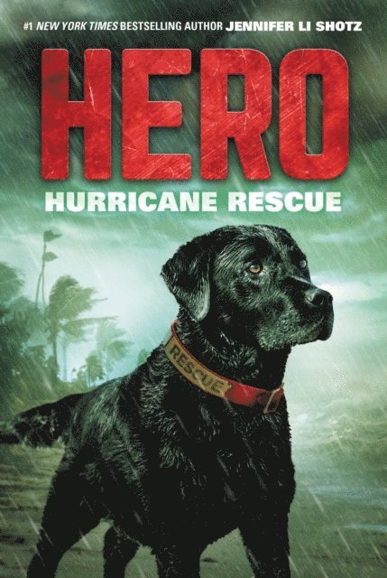 Jennifer Li Shotz - Hero: Hurricane Rescue, E-bok