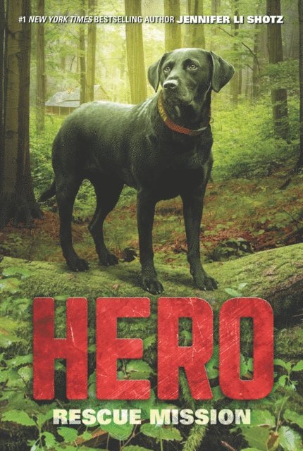 Jennifer Li Shotz - Hero, E-bok