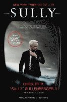 Sully: My Search for What Really Matters