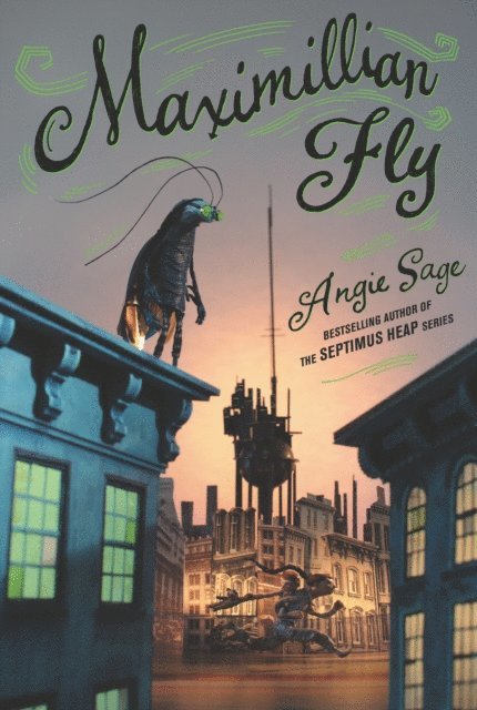 Angie Sage - Maximillian Fly, E-bok