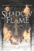 Shadow & Flame