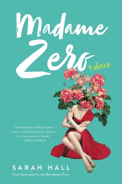 Sarah Hall - Madame Zero, E-bok