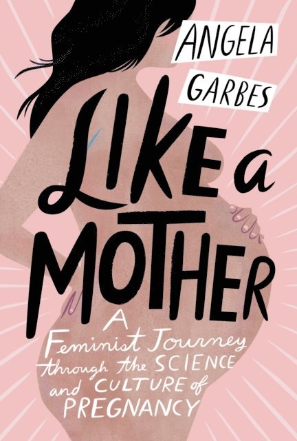 Angela Garbes - Like a Mother, E-bok