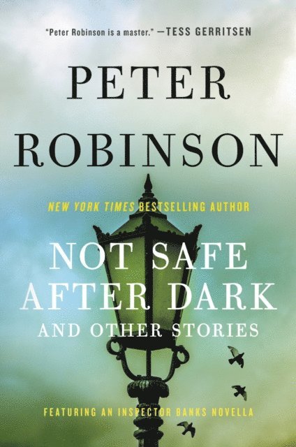Peter Robinson - Not Safe After Dark, E-bok