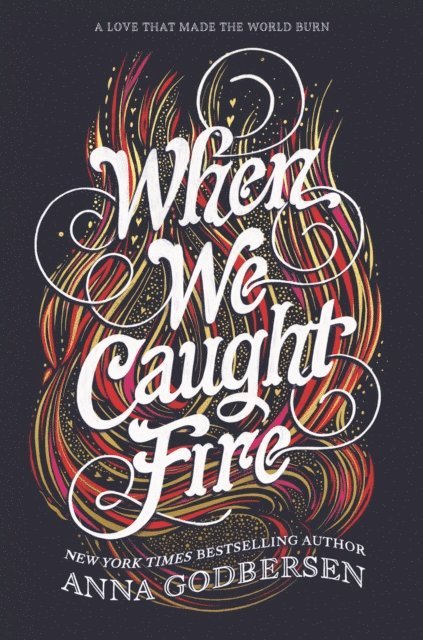 Anna Godbersen - When We Caught Fire, E-bok