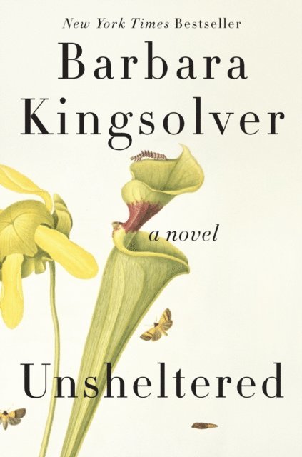 Barbara Kingsolver - Unsheltered, E-bok