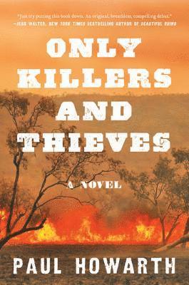 Paul Howarth - Only Killers and Thieves, Häftad