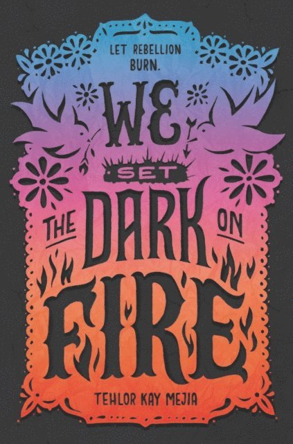 Tehlor Kay Mejia - We Set the Dark on Fire, E-bok