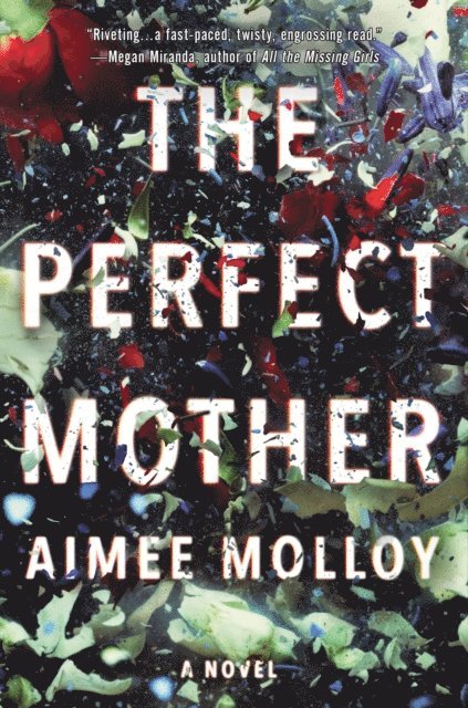 Aimee Molloy - Perfect Mother, E-bok