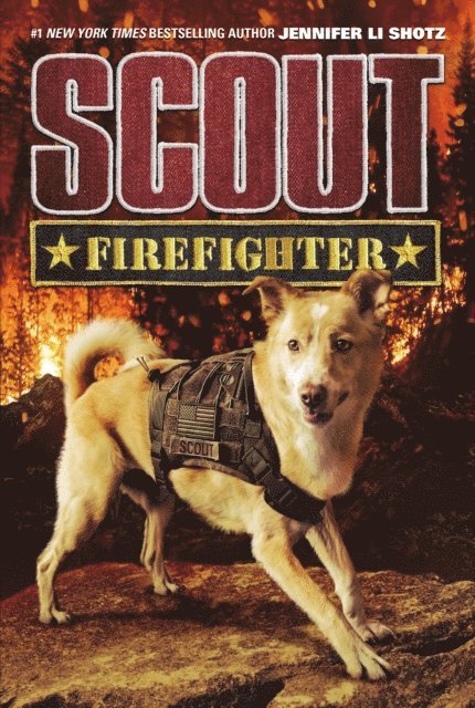Jennifer Li Shotz - Scout: Firefighter, E-bok