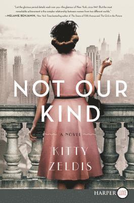 Kitty Zeldis - Not Our Kind, Häftad
