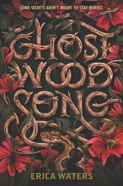 Erica Waters - Ghost Wood Song, E-bok