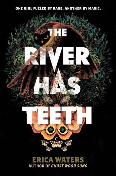 Erica Waters - River Has Teeth, Häftad