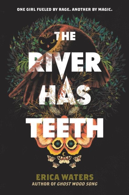 Erica Waters - River Has Teeth, E-bok