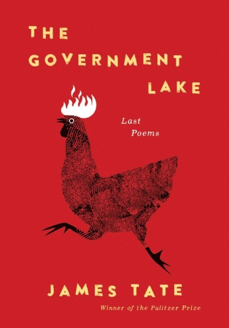 James Tate - Government Lake, E-bok