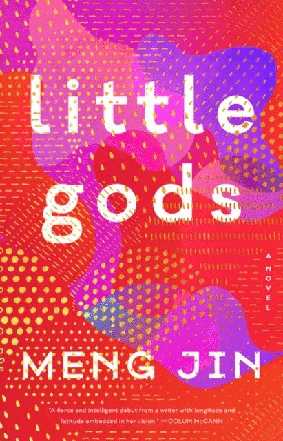 Meng Jin - Little Gods, E-bok