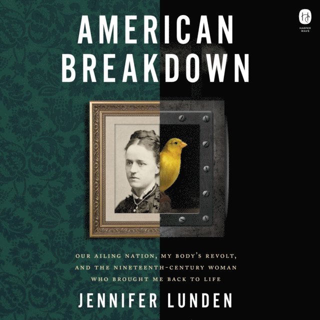 Jennifer Lunden - American Breakdown, Ljudbok