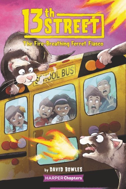 David Bowles - 13th Street #2: The Fire-Breathing Ferret Fiasco, E-bok