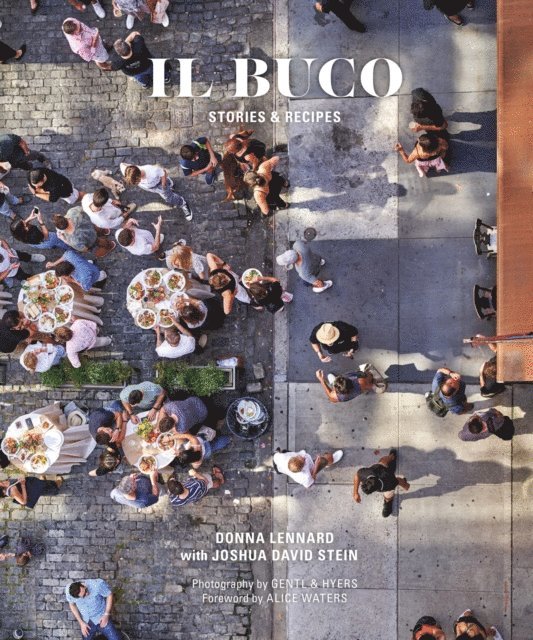 Joshua David Stein, Donna Lennard - Il Buco, E-bok