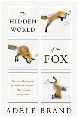 Adele Brand - The Hidden World of the Fox, Häftad. Tillgänglighet: Lägg i varukorg
