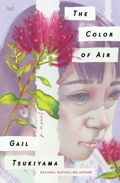 Gail Tsukiyama - Color of Air, E-bok