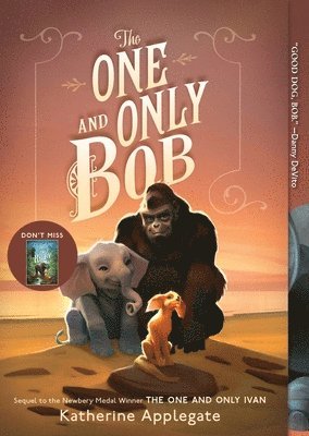Katherine Applegate - The One and Only Bob, Häftad
