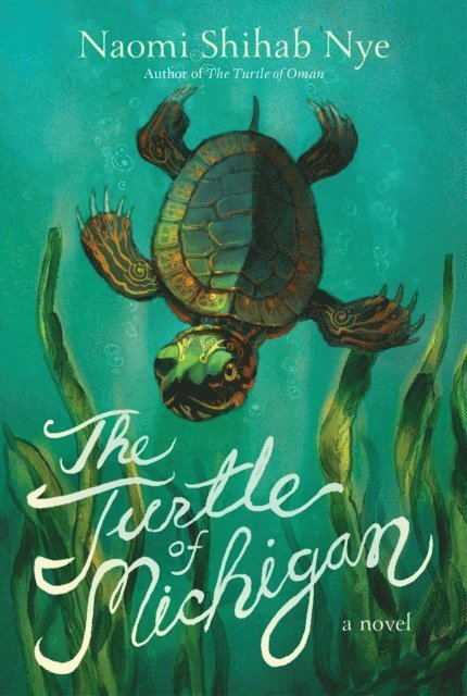 Naomi Shihab Nye - Turtle of Michigan, E-bok