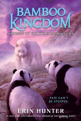 Erin Hunter - Bamboo Kingdom #3: Journey to the Dragon Mountain, Häftad