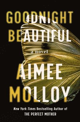 Aimee Molloy - Goodnight Beautiful, Häftad