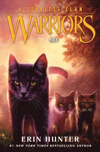 Erin Hunter - Warriors: A Starless Clan #2: Sky, E-bok