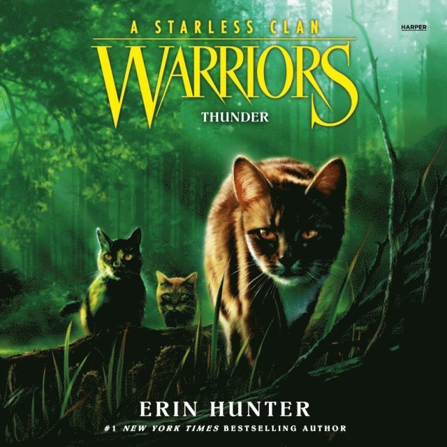 Erin Hunter - Warriors: A Starless Clan #4: Thunder, Ljudbok