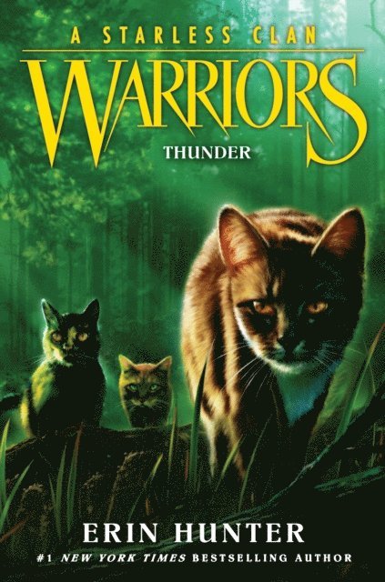 Erin Hunter - Warriors: A Starless Clan #4: Thunder, E-bok