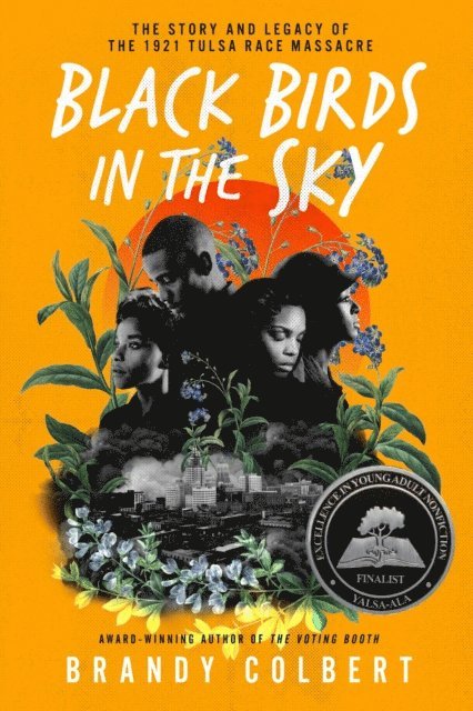 Brandy Colbert - Black Birds in the Sky, E-bok