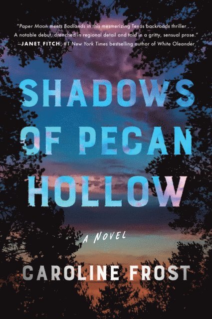 Caroline Frost - Shadows of Pecan Hollow, E-bok
