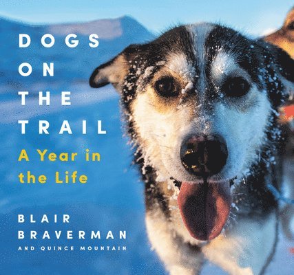 Blair Braverman, Quince Mountain - Dogs on the Trail, Inbunden