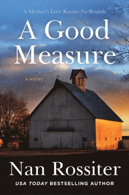 Nan Rossiter - Good Measure, E-bok