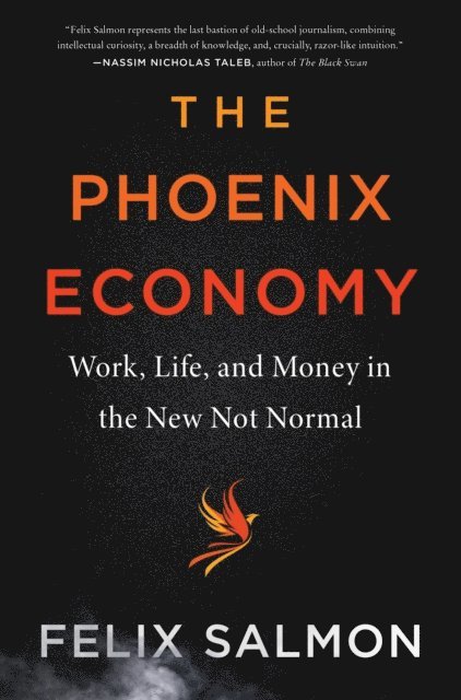 Felix Salmon - Phoenix Economy, E-bok