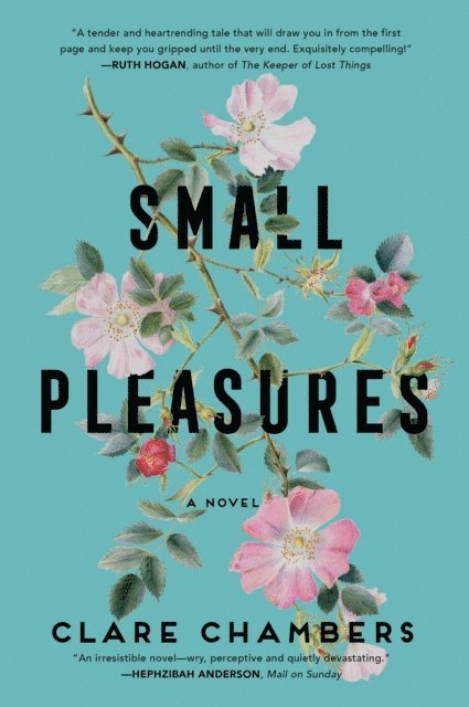 Clare Chambers - Small Pleasures, E-bok
