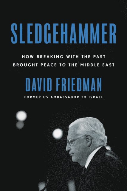 David Friedman - Sledgehammer, E-bok