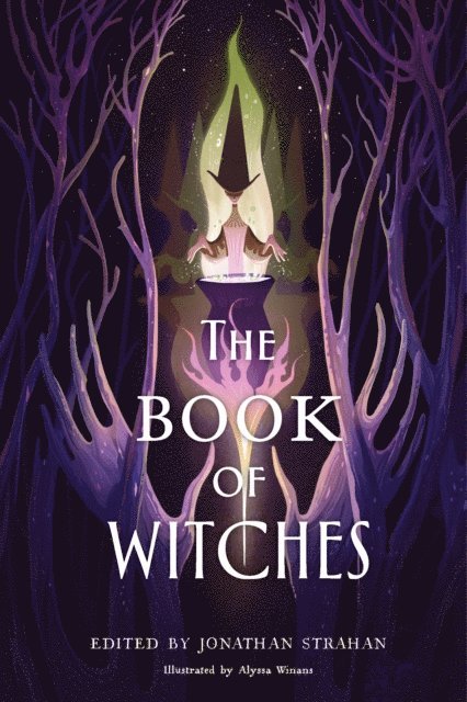 Jonathan Strahan - Book of Witches, E-bok