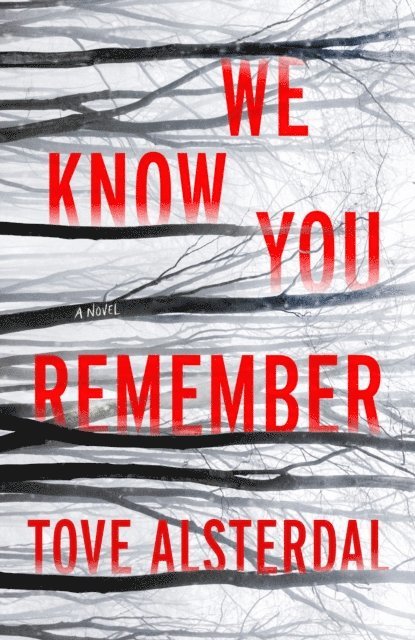 Tove Alsterdal - We Know You Remember, E-bok