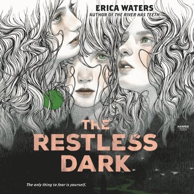 Erica Waters - Restless Dark, Ljudbok