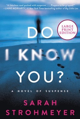 Sarah Strohmeyer - Do I Know You?, Häftad