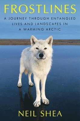 Neil Shea - Frostlines: A Journey Through Entangled Lives and Landscapes in a Warming Arctic, Inbunden