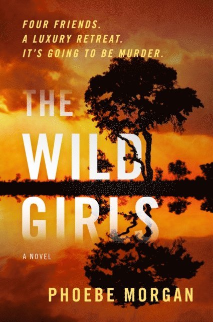 Phoebe Morgan - Wild Girls, E-bok