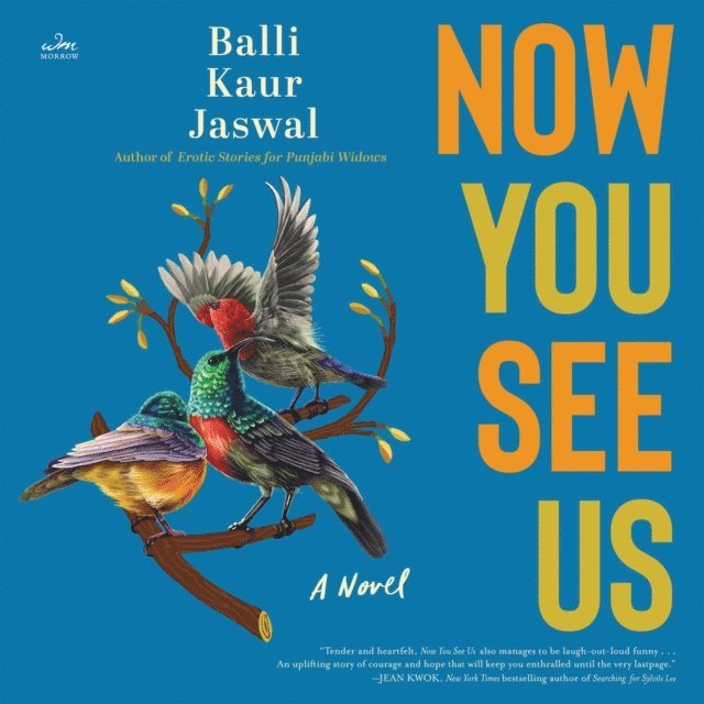Balli Kaur Jaswal - Now You See Us, Ljudbok
