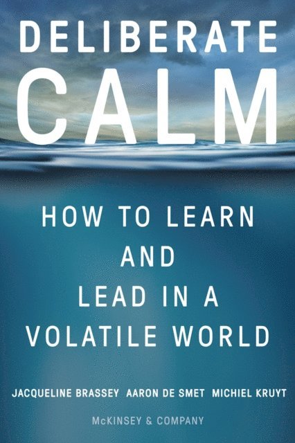 Michiel Kruyt, Aaron De Smet, Jacqueline Brassey - Deliberate Calm, E-bok