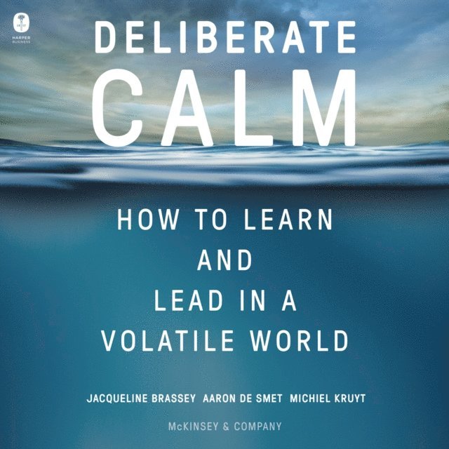 Michiel Kruyt, Aaron De Smet, Jacqueline Brassey - Deliberate Calm, Ljudbok